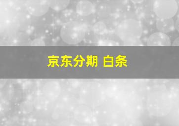 京东分期 白条